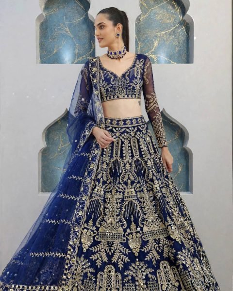 Alluring Blue Designer Butterfly Net Lehenga Choli with Canvas Patta and Sequin Work Designer Lehenga Choli