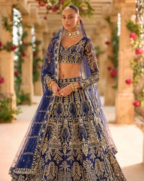 Alluring Blue Designer Butterfly Net Lehenga Choli with Canvas Patta and Sequin Work Designer Lehenga Choli