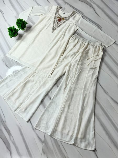 Alluring White Embroidered Ethnic Wear Set for Women Stylish Collection CO ORD Sets