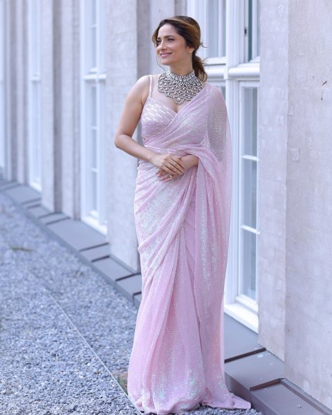 Ankita Lokhande Style Saree Full Sequence Work with Blouse Bollywood Designer Saree  Bollywood Fancy Sarees Wholesale