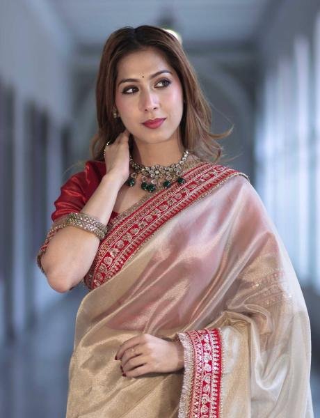 Beautiful Twil Net Saree With Sequins and Thread Work For Partywear Net Sarees Wholesale