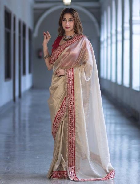 Beautiful Twil Net Saree With Sequins and Thread Work For Partywear Net Sarees Wholesale
