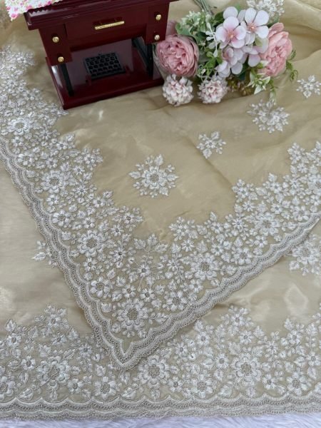 Beige Jimmy Chu Saree with Thread Embroidery Work Premium Festive Wear for Women JIMMY CHOO SAREE