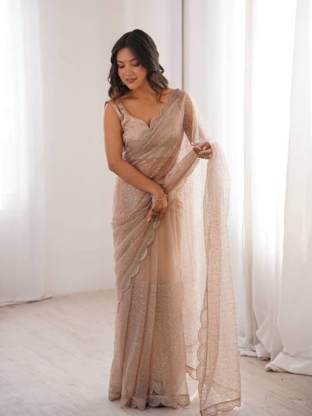 Beige Party Wear Heavy Net Saree with Sequin Embroidery and Silk Blouse at Wholesale  Sarees 
