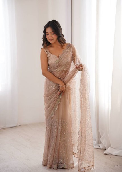Beige Party Wear Heavy Net Saree with Sequin Embroidery and Silk Blouse at Wholesale  Net Sarees Wholesale