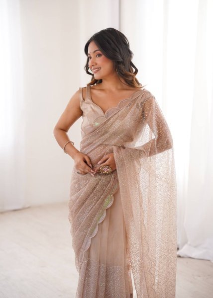 Beige Party Wear Heavy Net Saree with Sequin Embroidery and Silk Blouse at Wholesale  Net Sarees Wholesale