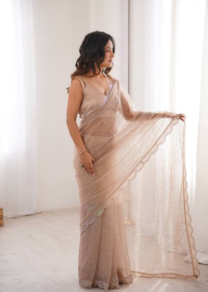 Beige Party Wear Heavy Net Saree with Sequin Embroidery and Silk Blouse at Wholesale  Net Sarees Wholesale