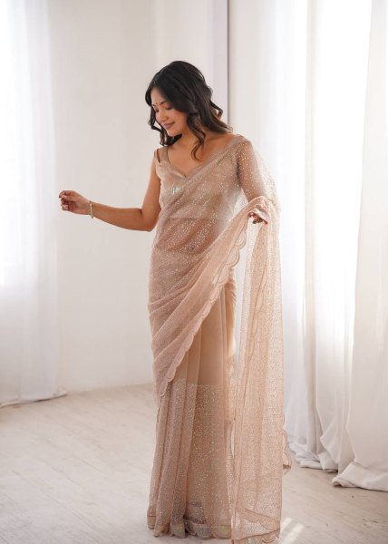 Beige Party Wear Heavy Net Saree with Sequin Embroidery and Silk Blouse at Wholesale  Net Sarees Wholesale