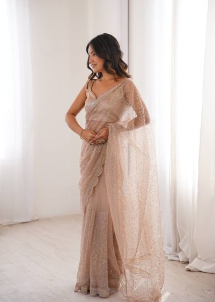Beige Party Wear Heavy Net Saree with Sequin Embroidery and Silk Blouse at Wholesale  Net Sarees Wholesale