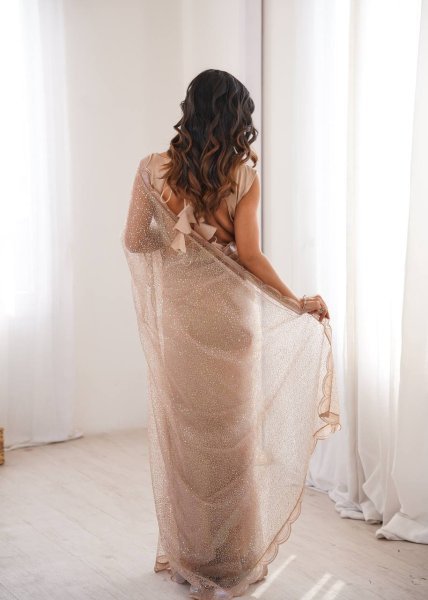 Beige Party Wear Heavy Net Saree with Sequin Embroidery and Silk Blouse at Wholesale  Net Sarees Wholesale