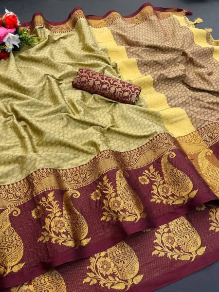 Big Border Silk Saree Trendy Statement Piece with Intricate Woven Work Ideal for Textile Distributors in India Cotton Sarees Wholesale