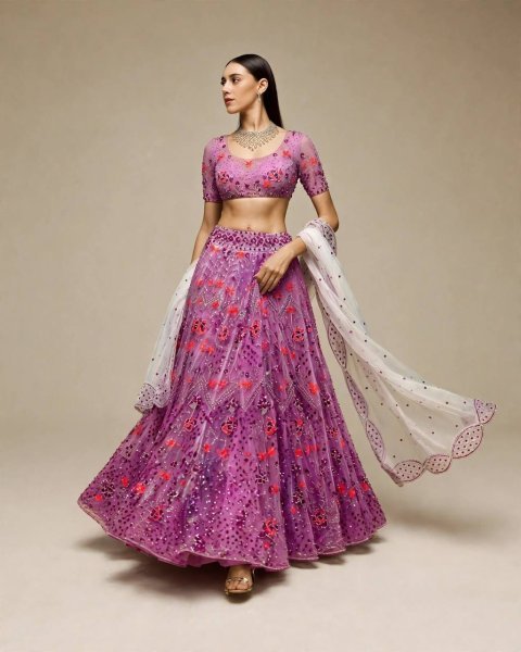 Bohemian Purple Semi-Stitched Butterfly Net Lehenga Choli with Embroidered Dupatta Designer Lehenga Choli