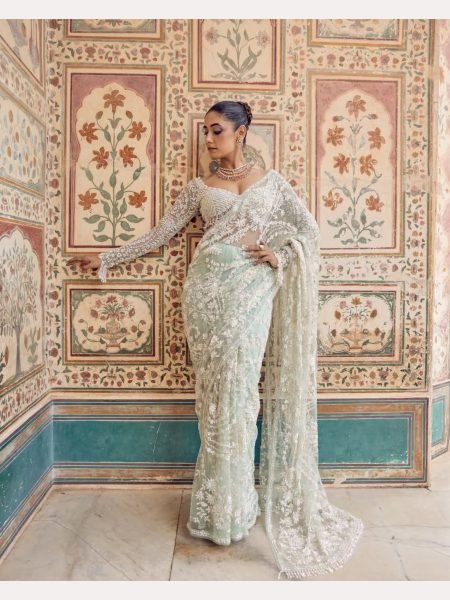 Bollywood Style  Heavy Designer  Mono net Saree with   Beautiful Zalar attached  pallu Bollywood Fancy Sarees Wholesale