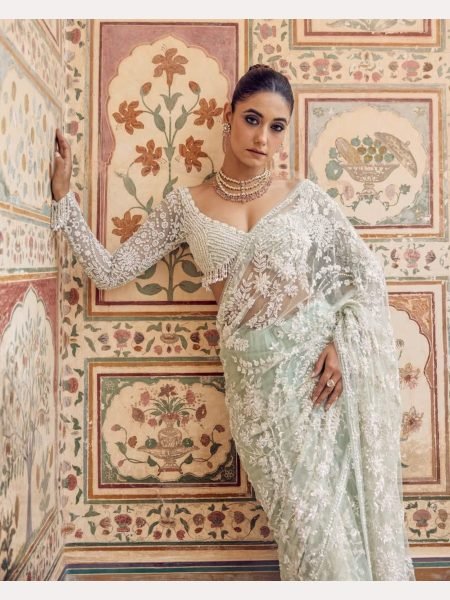 Bollywood Style  Heavy Designer  Mono net Saree with   Beautiful Zalar attached  pallu Bollywood Fancy Sarees Wholesale