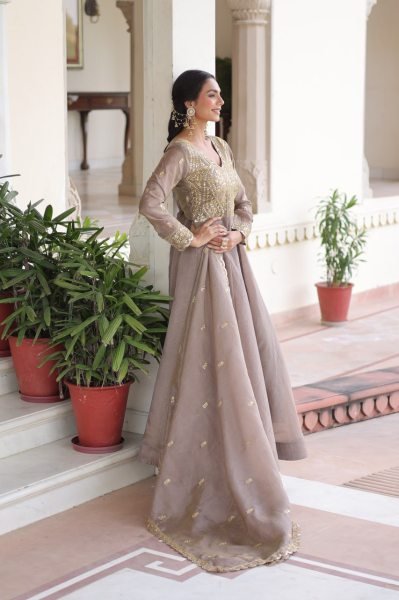 Brown Crush Gown with Zari and Sequence Embroidery Dupatta For Ethnic Wholesale Reseller Collection  Ready To Wear Collection