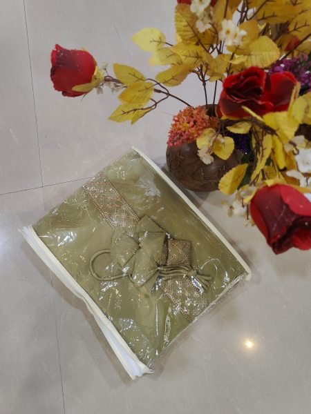 Budget Friendly Pista Umbrella Cut Lehenga Choli for Wedding Functions Designer Lehenga Choli