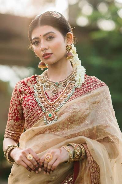 Buy Jimmy Choo Saree with Multi Thread Embroidered Blouse At Manufacturer Price JIMMY CHOO SAREE