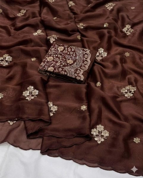 Captivating Brown Tissue Saree with Heavy Embroidered Blouse for Women Silk Sarees Wholesale