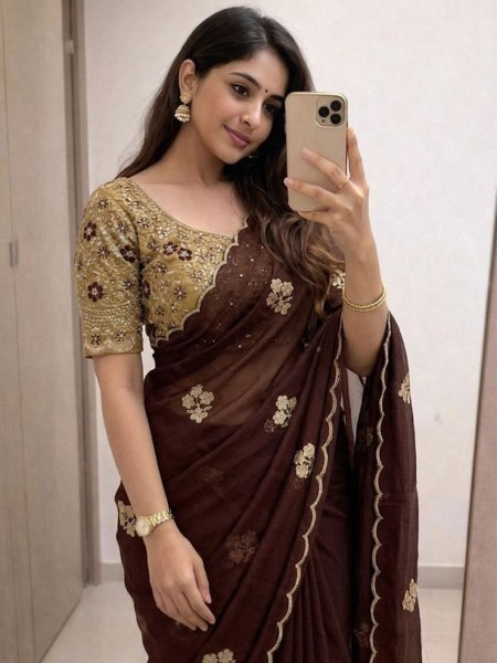 Captivating Brown Tissue Saree with Heavy Embroidered Blouse for Women Silk Sarees Wholesale