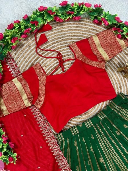 Charismatic Green Kanchipuram Silk Lehenga with Contrast Red Blouse And Dupatta Half Saree Lehenga