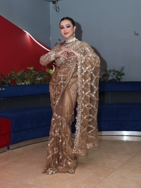 Classic Golden Soft Net Saree with Rich Work for Traditional and Modern Wear Bollywood Fancy Sarees Wholesale