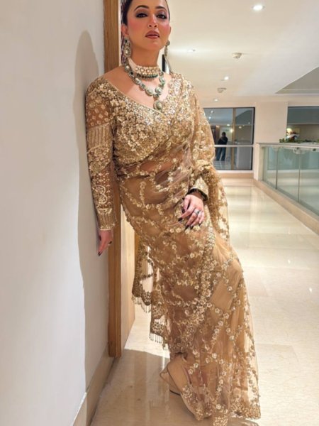 Classic Golden Soft Net Saree with Rich Work for Traditional and Modern Wear Bollywood Fancy Sarees Wholesale