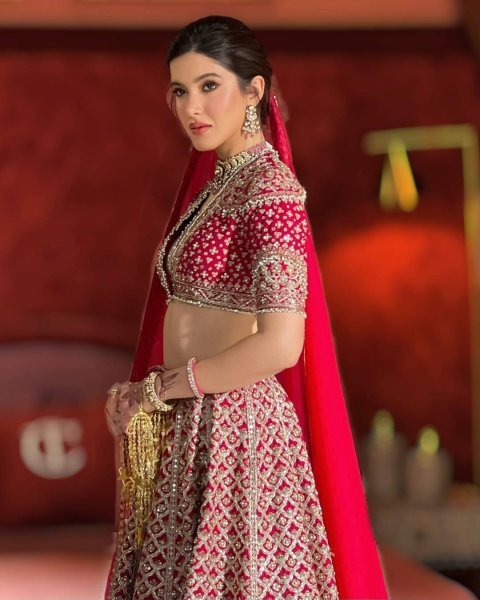 Crimson Red Muga Silk Lehenga with Rich Zari and Sequins Embroidery For Bridal Wear Bridal Lehenga Choli