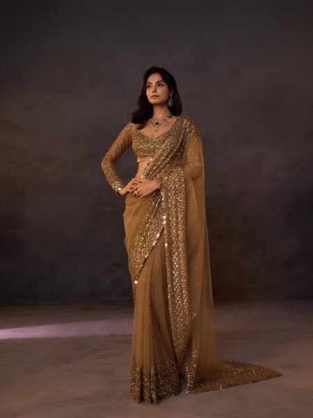 Dapper Golden Butterfly Net Saree with 5mm Sequins and Multi Embroidery Work 