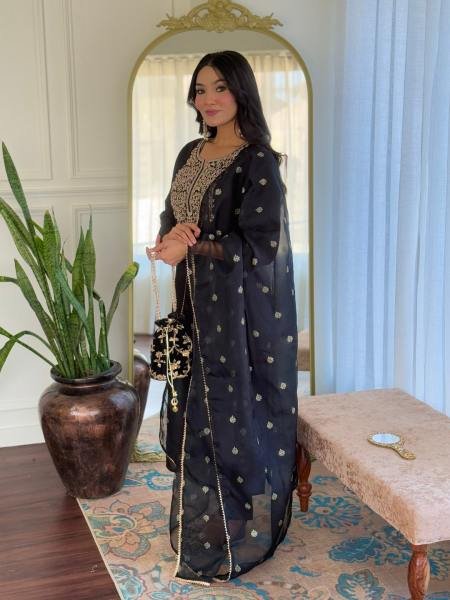 Dazzling Black Viscose Embroidered Straight Kurta Set with Organza Dupatta  Straight Cut Long Kurtis