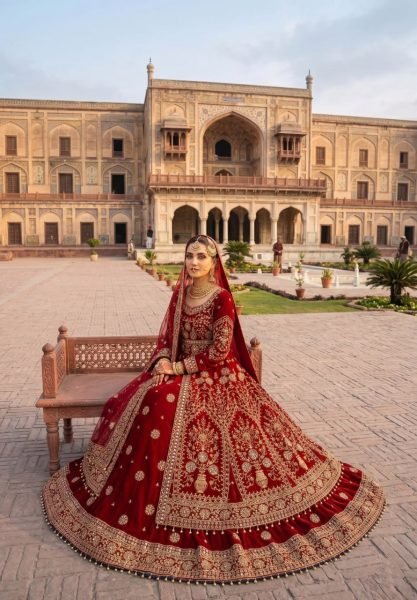 Dazzling Red Velvet Bridal Lehenga with Embroidered Anarkali Top For Bridal Wedding Bridal Dress Wholesale