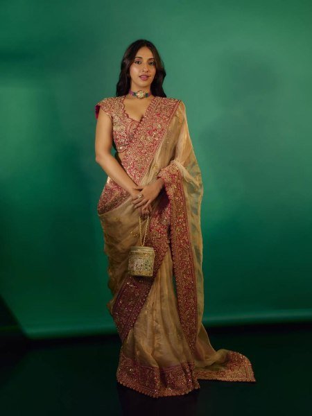 Delightful Cream Glass Organza Silk Saree with Sequins Thread Embroidery Work Silk Sarees Wholesale