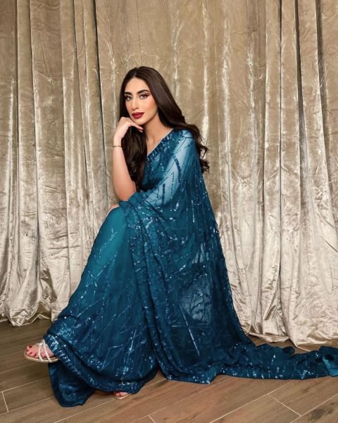 Designer Partywear Georgette Saree With Sequence Lace  Festive Collection Georgette Sarees Wholesale