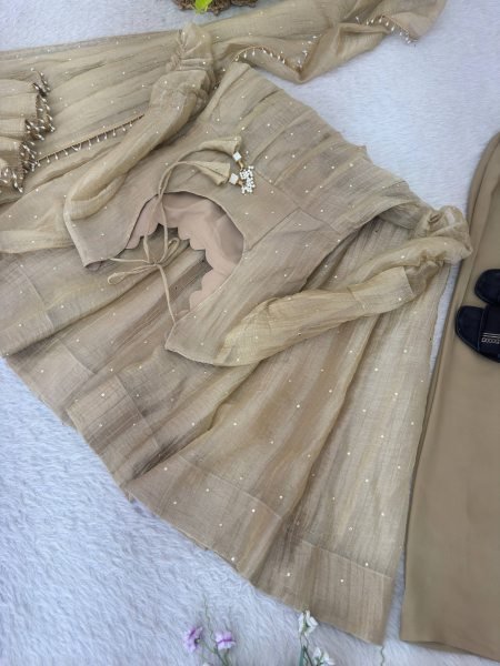 Elegant Cream Crush Silk Gown with Fancy Lace Foil Work Dupatta at Manufacturer  Ready To Wear Collection