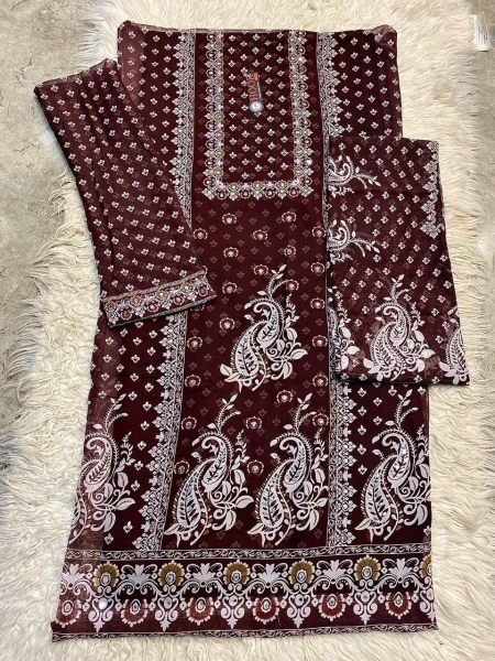 Elegant Printed Organza Suit Set Retailer And Wholesaler Wholesale Printed Salwar Kameez 