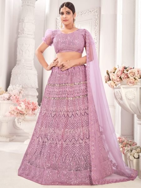 Embrodery Net Lehnega Choli  