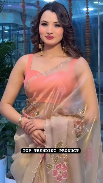 Exceptional Beige Tissue Silk Floral Brush Print Saree with Jalpari Silk Blouse At Wholesale Silk Sarees Wholesale