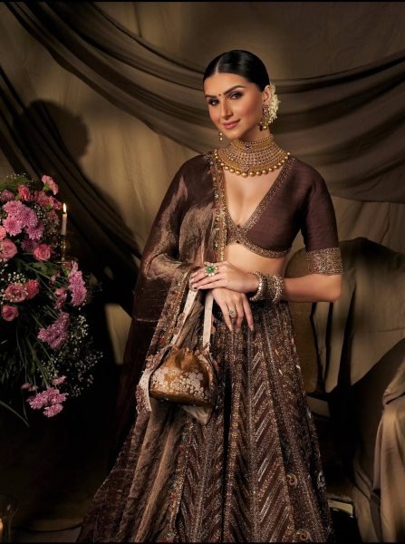 Exclusive Brown Thai Silk Bridal Lehenga with Heavy Embroidery and Glass Organza Dupatta Bollywood Lehenga Choli