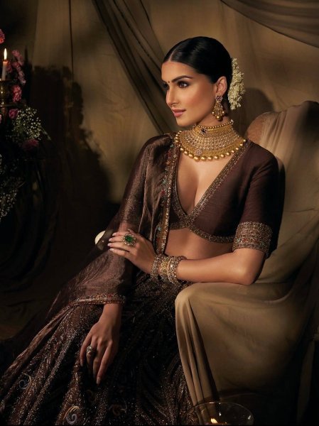 Exclusive Brown Thai Silk Bridal Lehenga with Heavy Embroidery and Glass Organza Dupatta Bollywood Lehenga Choli