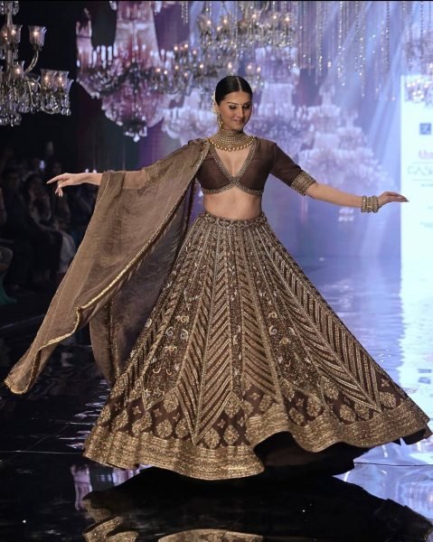 Exclusive Brown Thai Silk Bridal Lehenga with Heavy Embroidery and Glass Organza Dupatta Bollywood Lehenga Choli