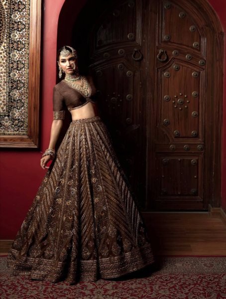 Exclusive Brown Thai Silk Bridal Lehenga with Heavy Embroidery and Glass Organza Dupatta Bollywood Lehenga Choli