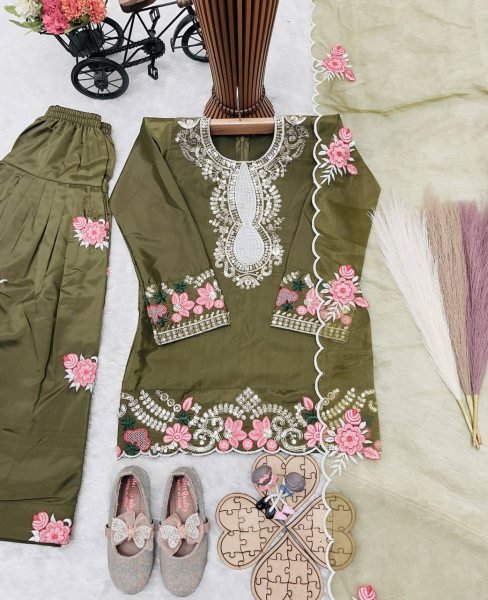 Exclusive Kids Embroidered Salwar Suit Set with Organza Dupatta Girls Wear