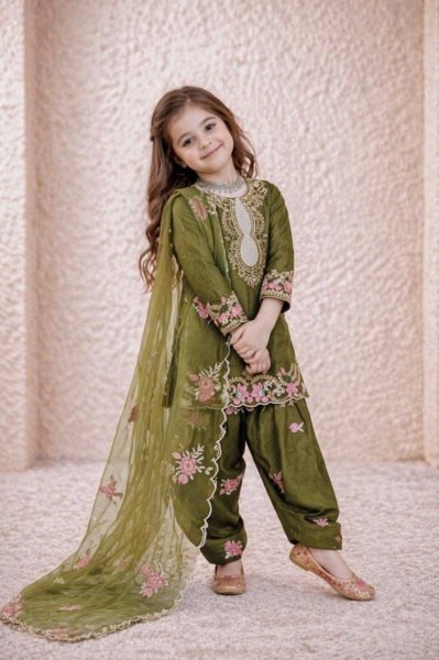 Exclusive Kids Embroidered Salwar Suit Set with Organza Dupatta Girls Wear