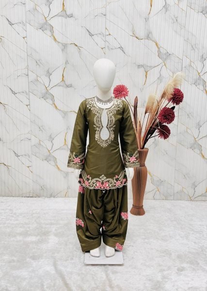 Exclusive Kids Embroidered Salwar Suit Set with Organza Dupatta Girls Wear