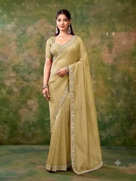 Exclusive Pista Tissue Organza Festive Wear Saree with Fancy Embellished Blouse at anufacturer Rate