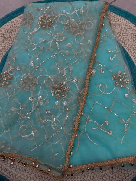Extraordinary Sky Blue Net Party Wear Saree with Designer Unstitched Blouse Piece Embroidery Sarees Wholesale