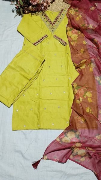 Futuristic Quality Cotton Silk Kurti Set for Resellers and Retailers Embroidery Kurtis 