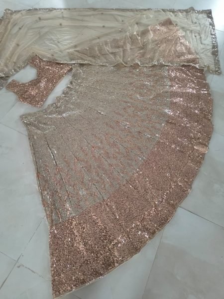 Futuristic Silver Butterfly Soft Net Wedding Lehenga Choli with Heavy Sequins Work Bollywood Lehenga Choli