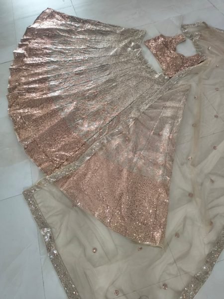 Futuristic Silver Butterfly Soft Net Wedding Lehenga Choli with Heavy Sequins Work Bollywood Lehenga Choli