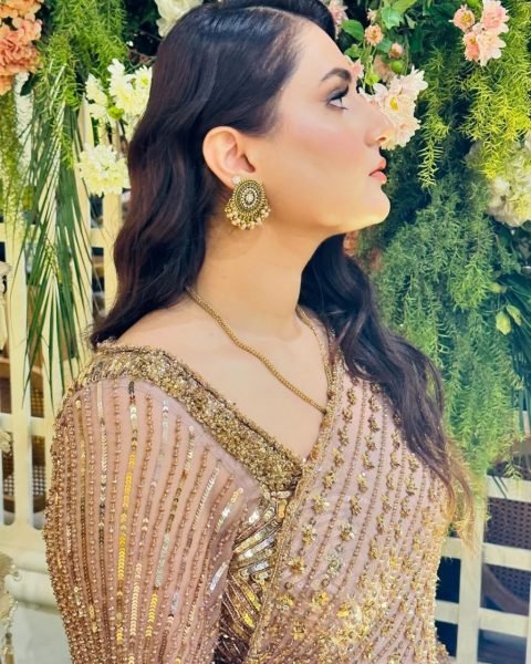 Glamorous Pink Butterfly Net Saree with Heavy Sequins Work for Party Wear Bollywood Fancy Sarees Wholesale