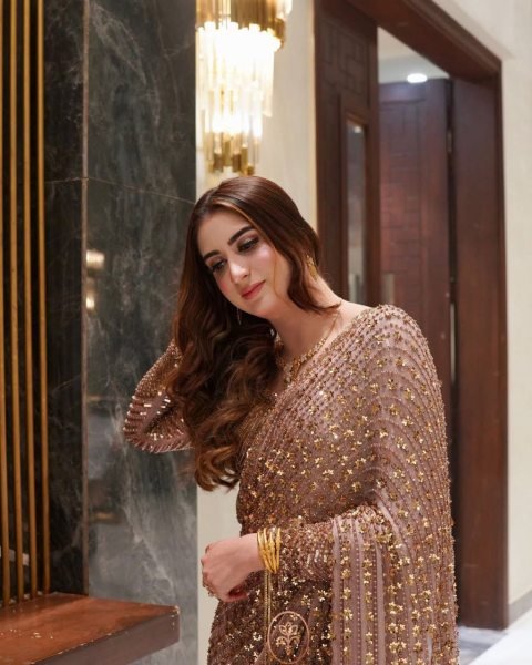 Glamorous Pink Butterfly Net Saree with Heavy Sequins Work for Party Wear Bollywood Fancy Sarees Wholesale